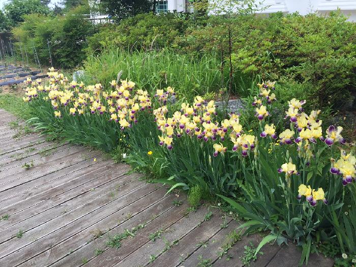 서린요양원 이미지 2