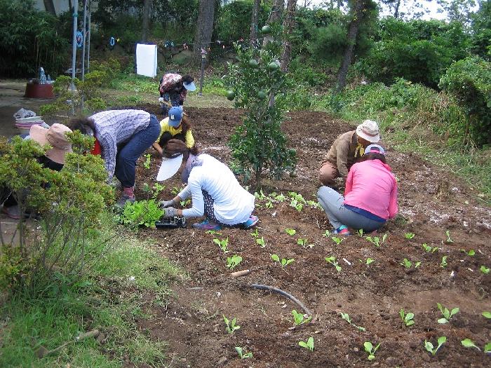 성심노인요양원 이미지 2