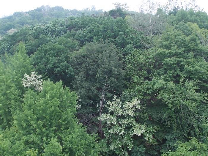 벧엘노인요양원 이미지 10