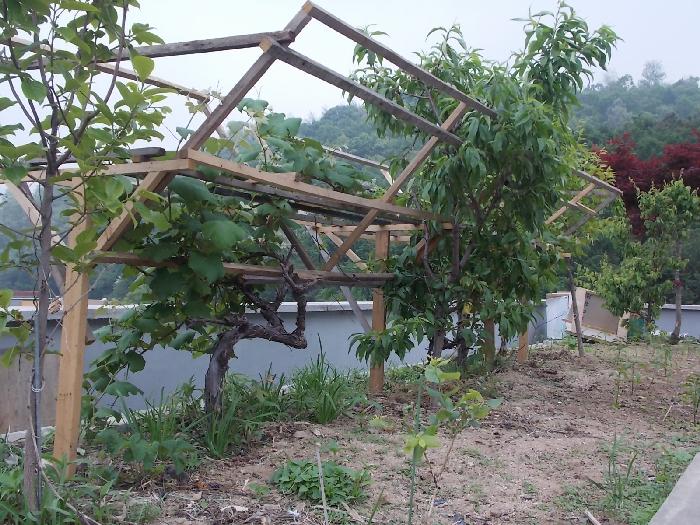 벧엘노인요양원 이미지 5