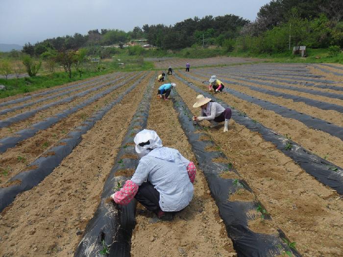 오렌지카운티노인요양원 이미지 5