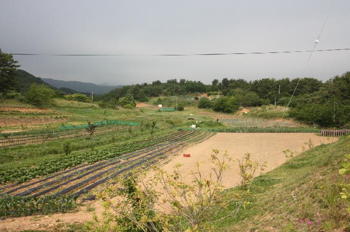 오렌지카운티노인요양원 이미지 4