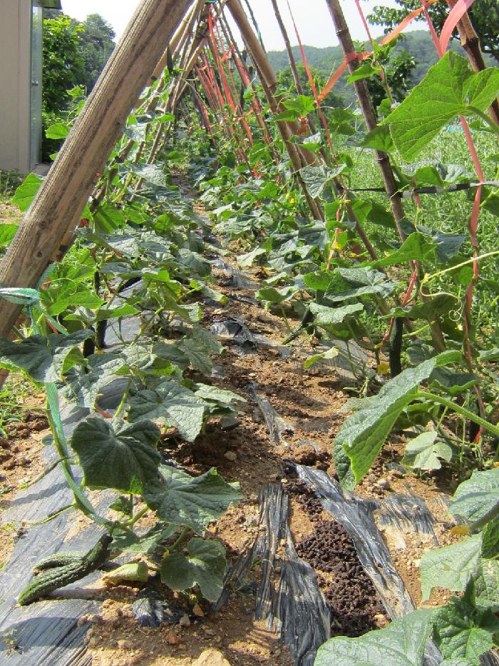 바오로둥지 너싱홈 이미지 7