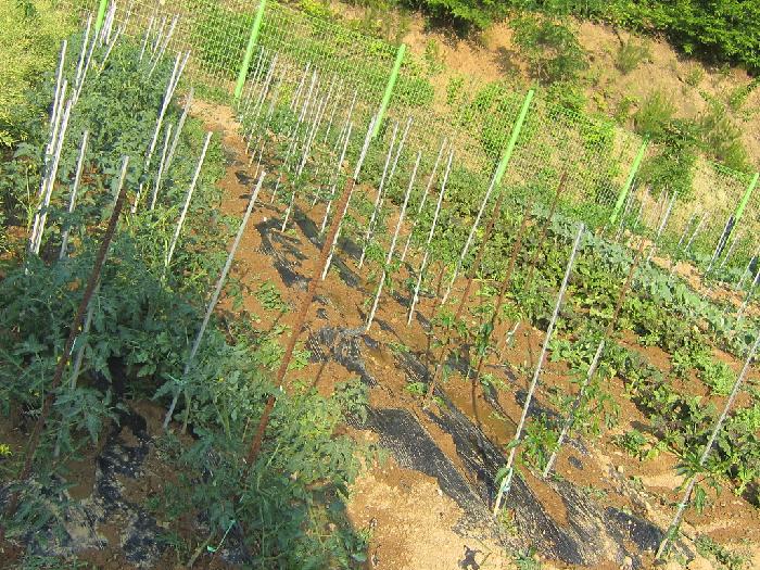 바오로둥지 너싱홈 이미지 6