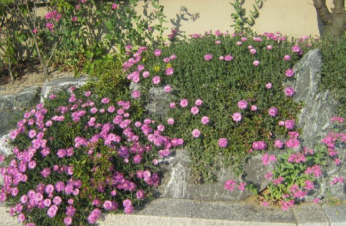 바오로둥지 너싱홈 이미지 5