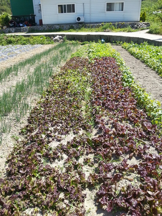 사랑마을아가페하우스 이미지 18