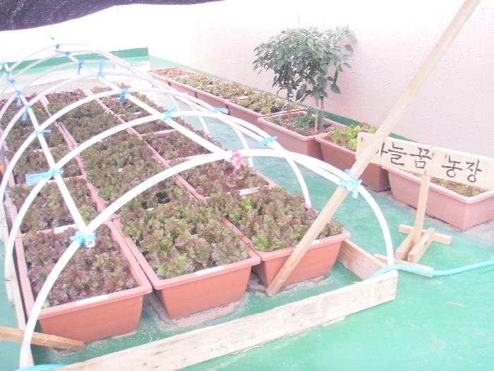 하늘꿈요양원 이미지 5