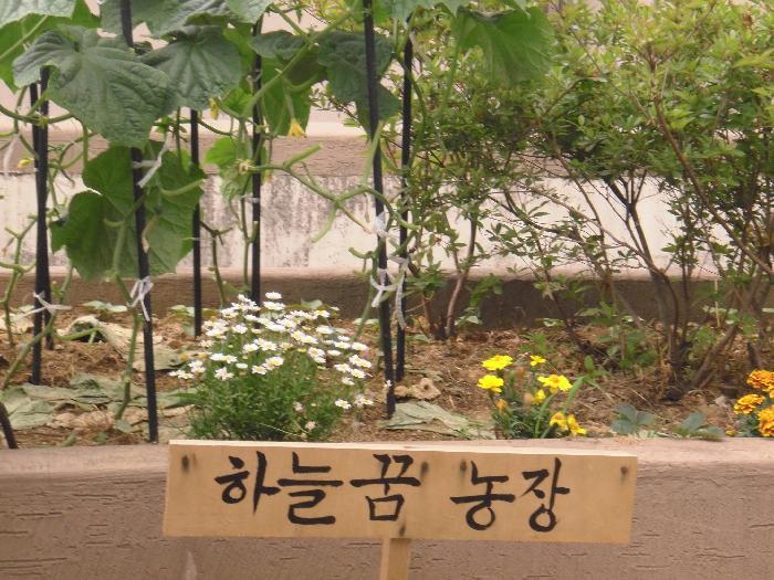 하늘꿈요양원 이미지 4