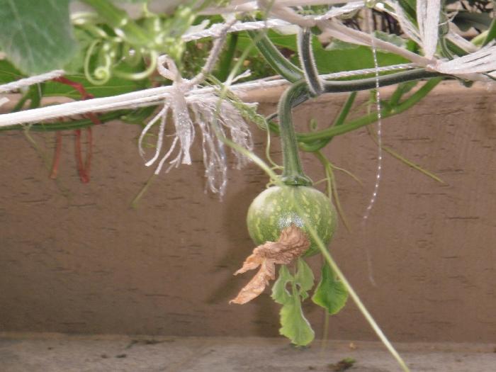 하늘꿈요양원 이미지 2