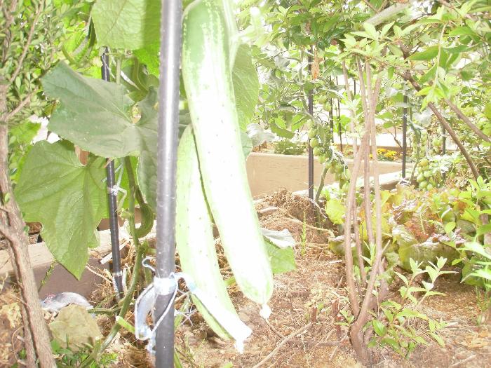 하늘꿈요양원 이미지 22