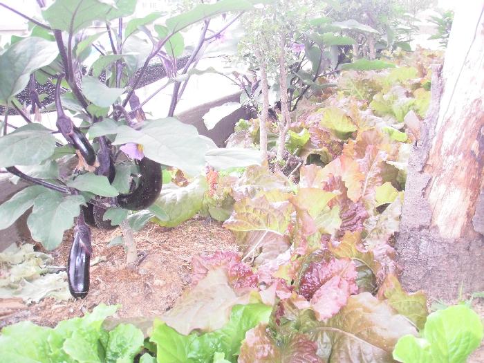 하늘꿈요양원 이미지 21