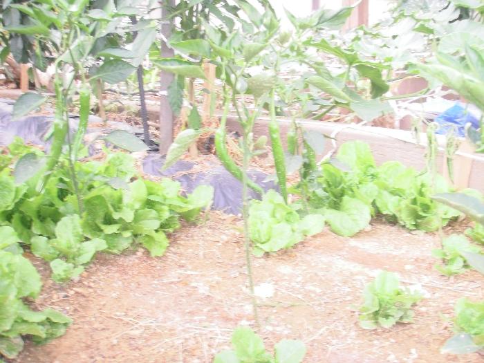 하늘꿈요양원 이미지 20