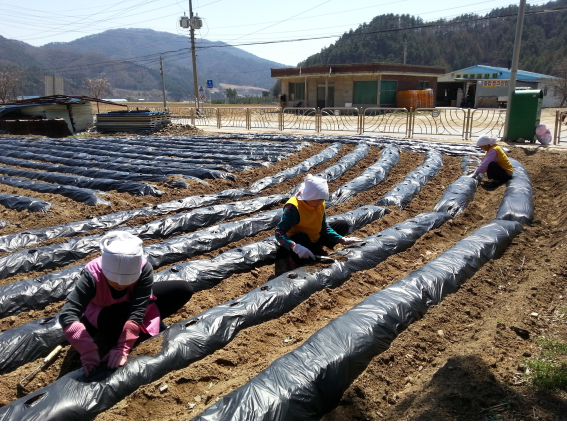 수성노인요양공동생활가정 이미지 6