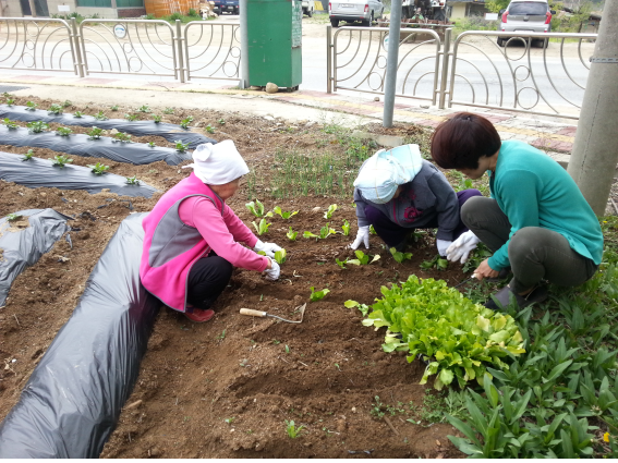 수성노인요양공동생활가정 이미지 5