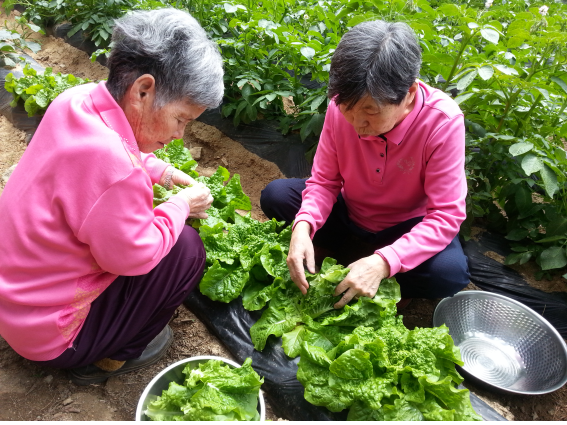 수성노인요양공동생활가정 이미지 4