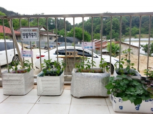 기쁜요양원 이미지 5