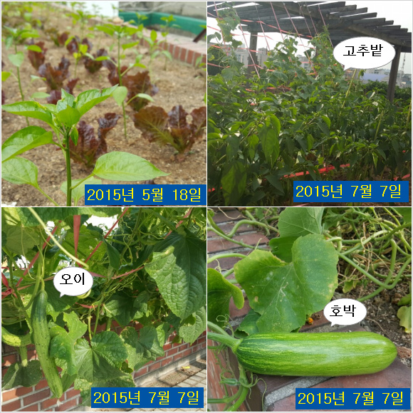 행복한요양원 이미지 4