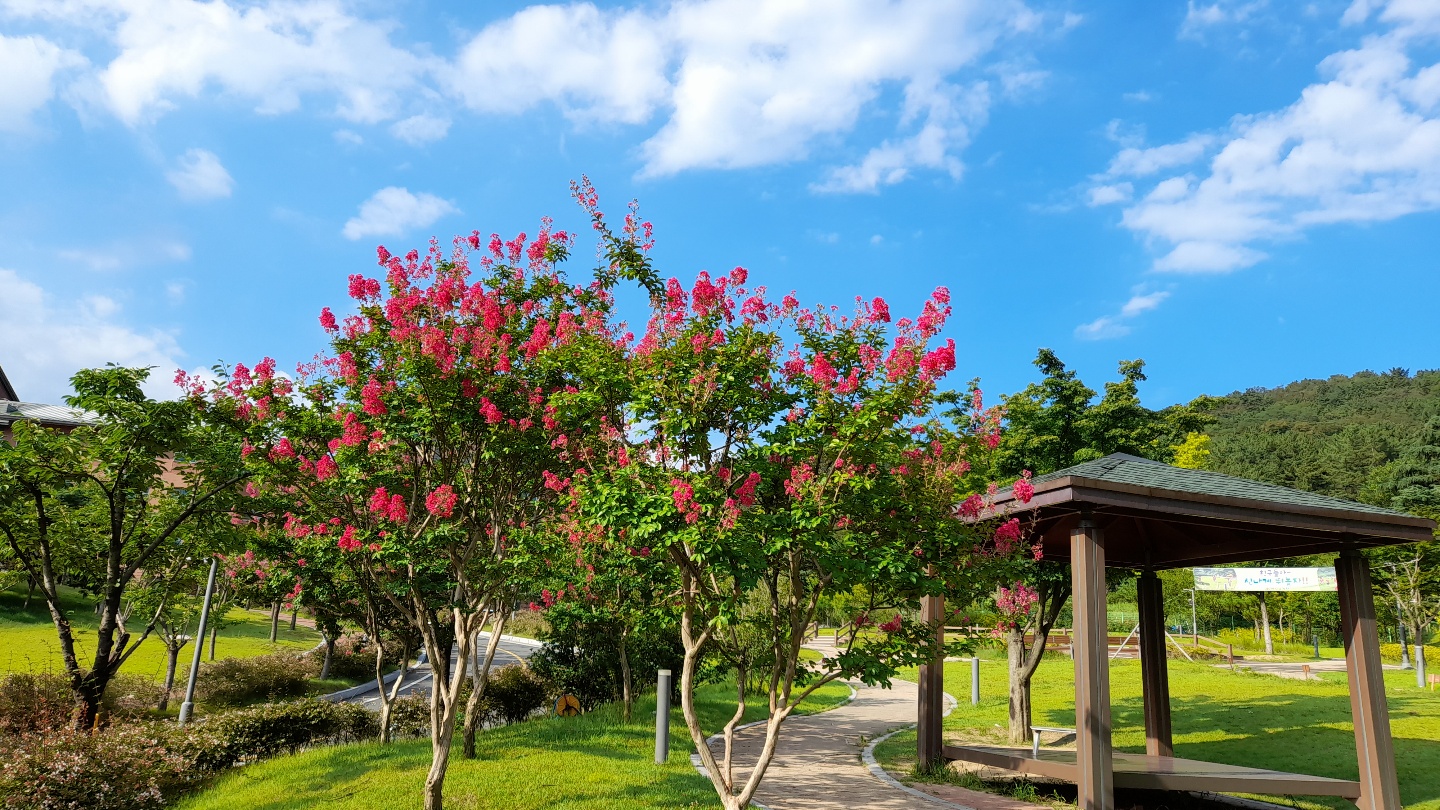 파티마홈 이미지 4