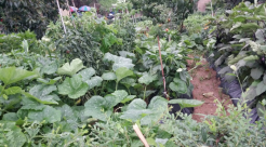 엠마우스 노인요양공동생활가정 이미지 5