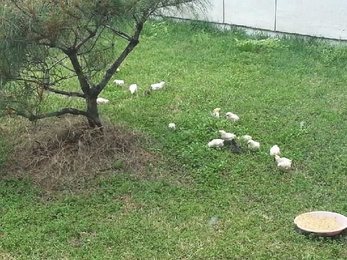 매호요양원 이미지 11