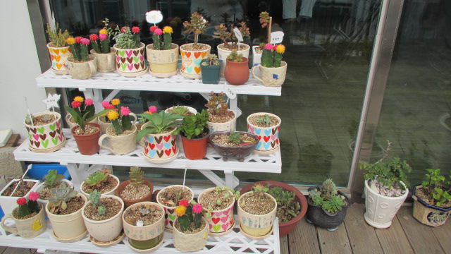 소규모요양시설나형완도늘푸른집 이미지 7