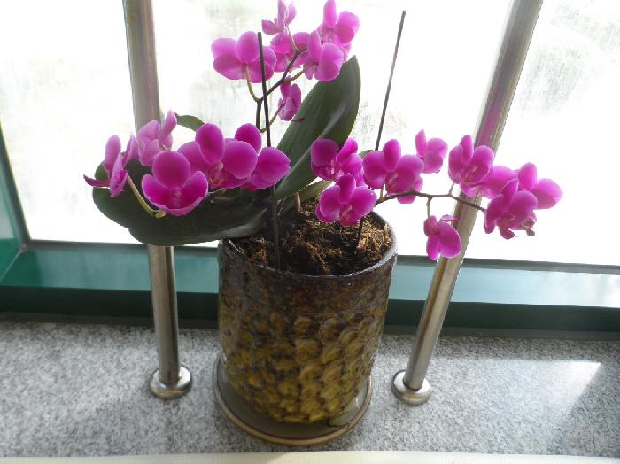 신안군노인전문요양원 이미지 7