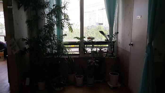 행복노인전문요양원 이미지 10