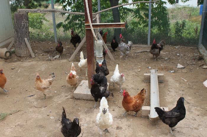 베다니마을 이미지 8