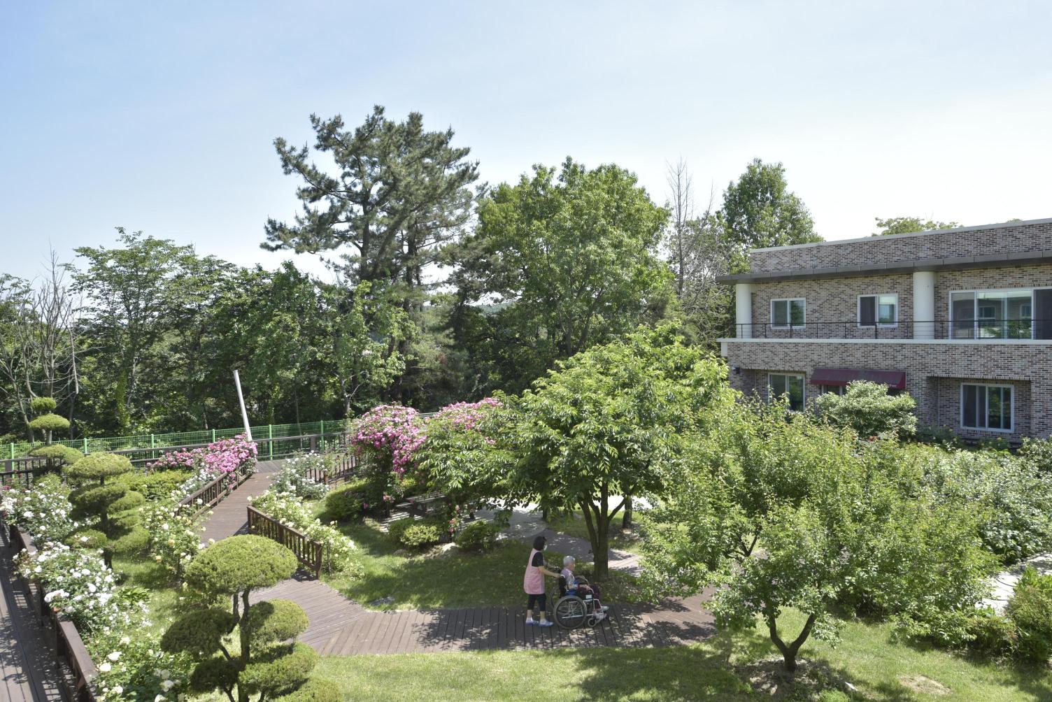 실버프리 송악 이미지 16