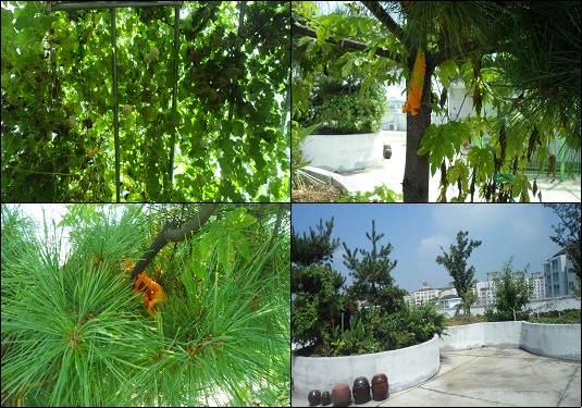 푸른실버타운 이미지 5