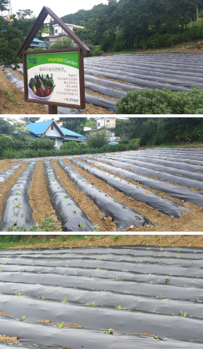 플래티늄 이미지 38