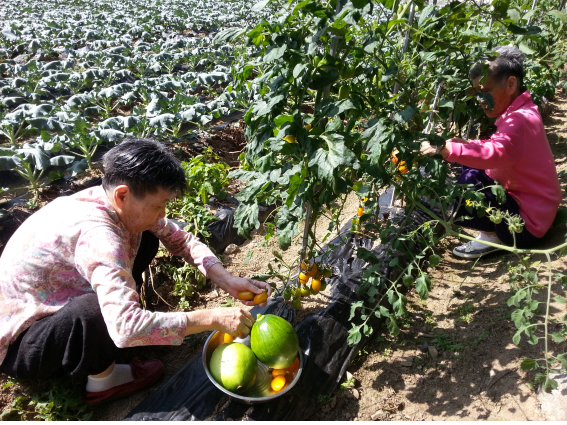 수성노인요양공동생활가정 이미지 2
