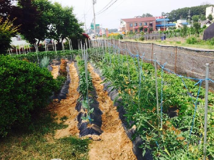 우림실버홈 이미지 9