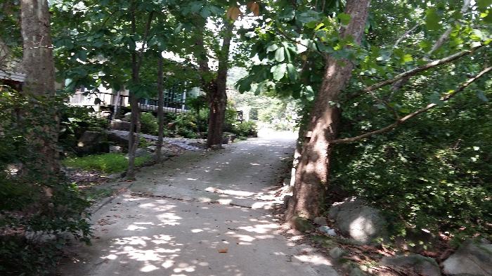 자연숲요양원 이미지 2