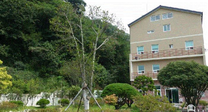 둥지너싱홈 이미지 6