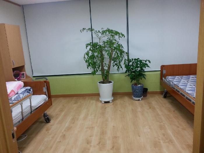 꿈꾸는 요양원 이미지 5