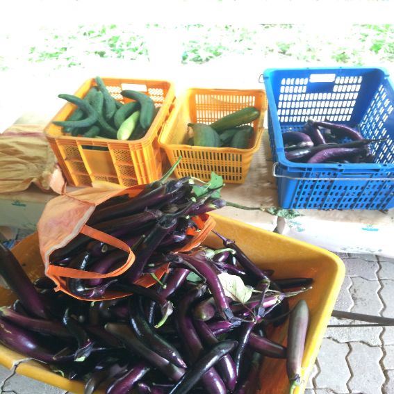 문수효마을 이미지 33