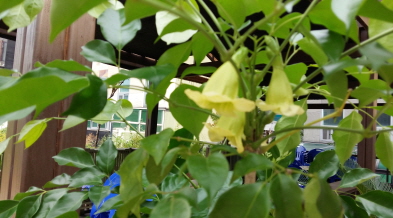 일산 수 요양원 이미지 16