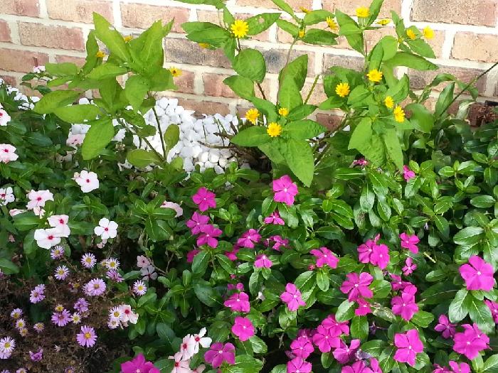 천사요양원 이미지 8