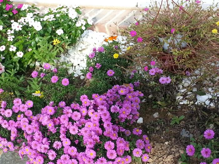 천사요양원 이미지 7