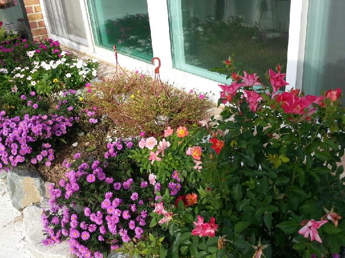 천사요양원 이미지 6