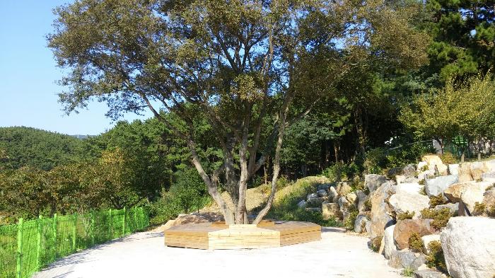 노인요양원 솔향 이미지 10