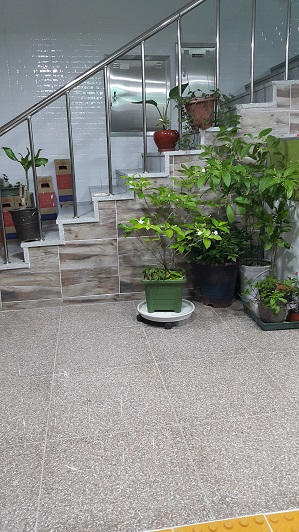 초로기행복찾기요양원 이미지 7