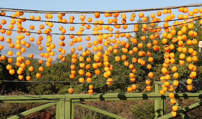 수림e좋은요양원 이미지 6