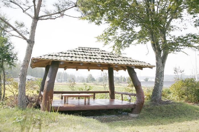 금성노인요양원 이미지 5