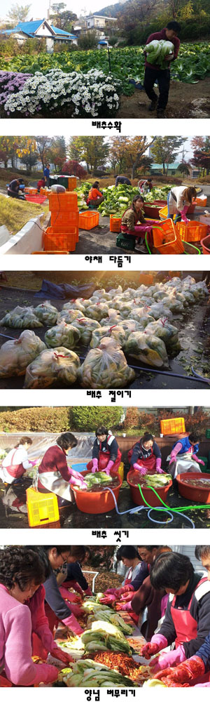 플래티늄 이미지 36