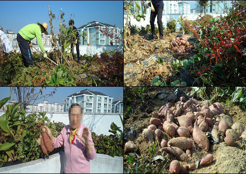 푸른실버타운 이미지 4