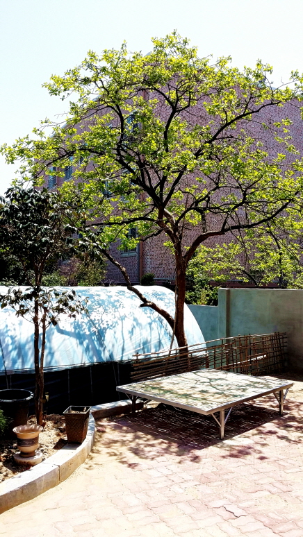 전원노인요양원 이미지 2