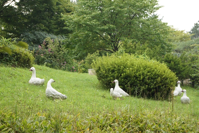 수지성모요양원 이미지 3