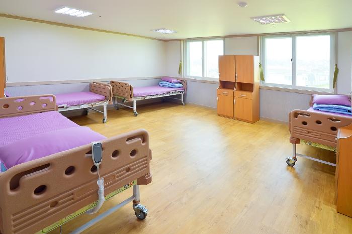 뿌리깊은나무 이미지 8